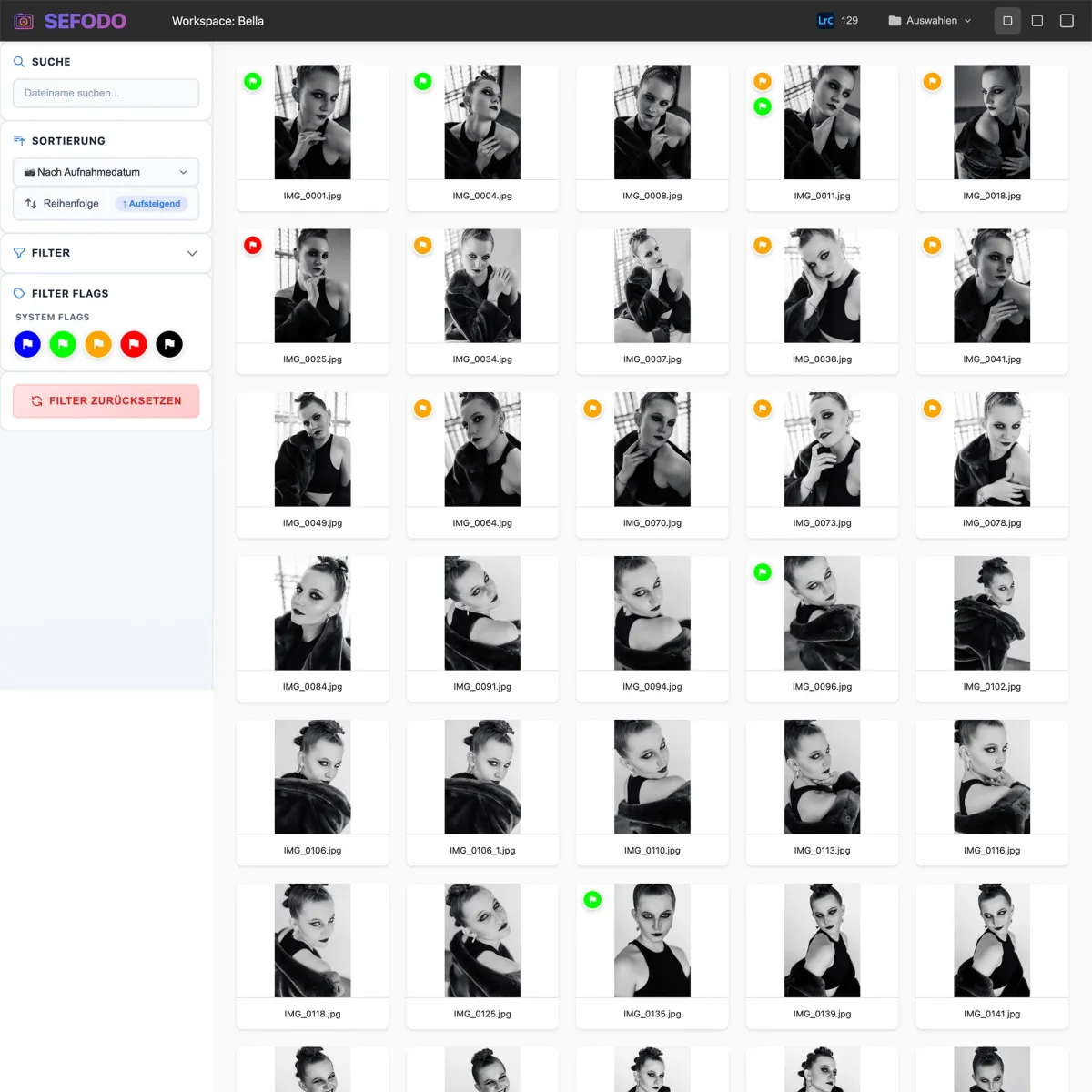 SEFODO-Workspace mit Bildauswahl über farbige Markierungen